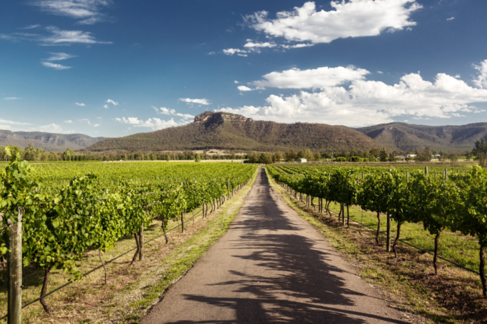 Hunter Valley Wine, Cheese and Chocolate Guided Tour Discounted Ticket
