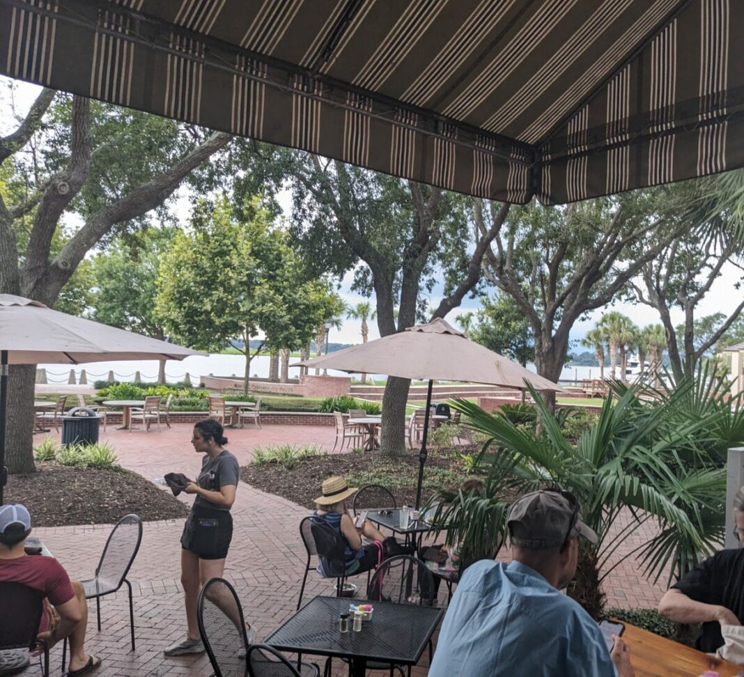 Plums Beaufort South Carolina at Anthony Franks blog