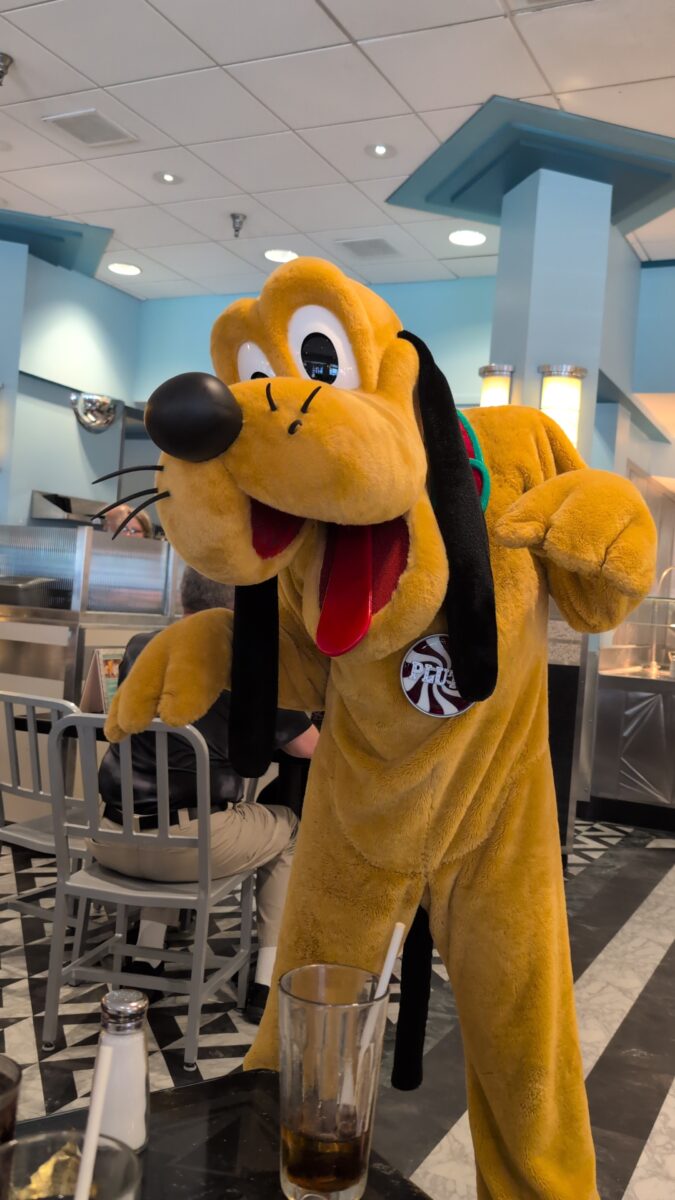 A picture of Pluto from Minnie's Holiday Dine, a Disney World Christmas character dining experience.