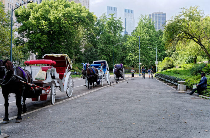 Central Park Horse Carriage Ride New York City Central Park horse and carriage rides New York City coupons