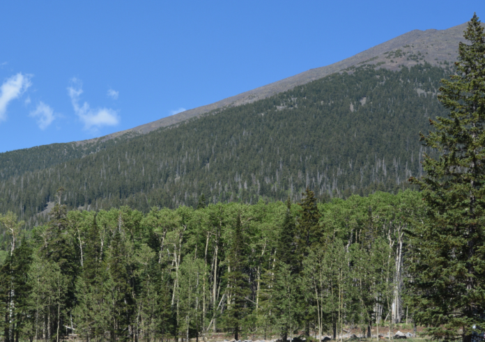 Save money with a coupon or promo code for Arizona Snowbowl's Summer Scenic Gondola Ride