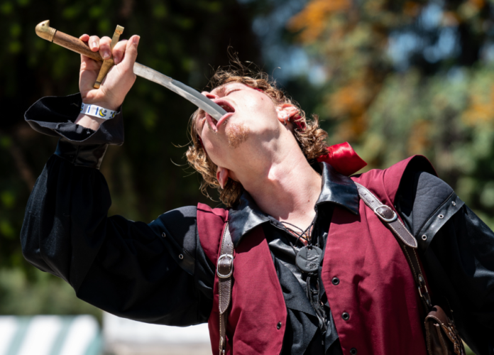 Save money with a promo code or coupon for the Great Camelot Renaissance Faire in Peru, Indiana