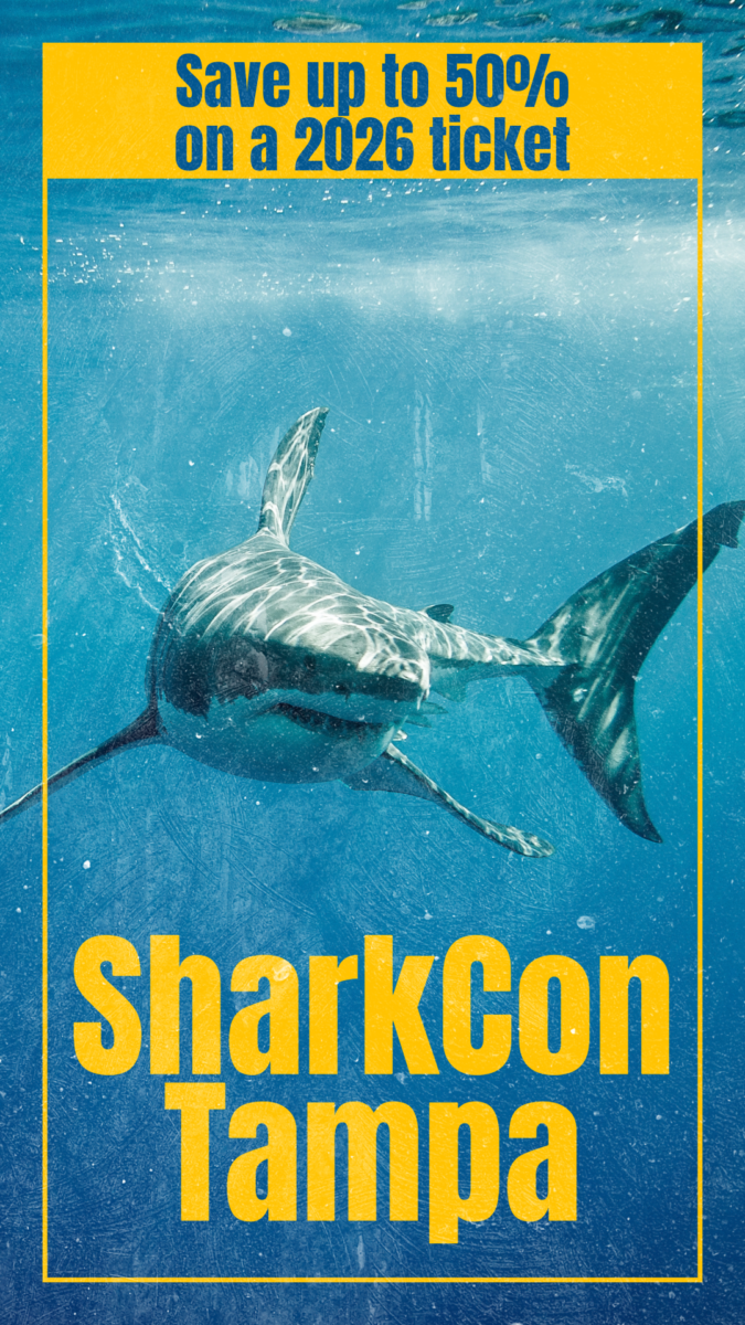 SharkCon Tampa: Save up to 50% on a 2026 ticket