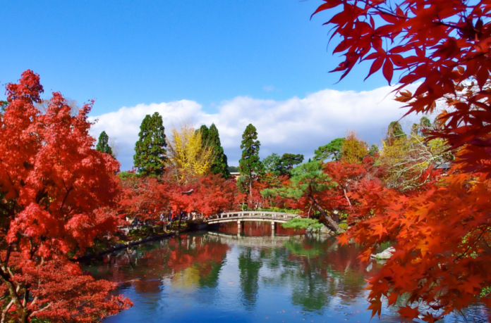 Save money with a discount ticket for a Kyoto Japan walking tour.
