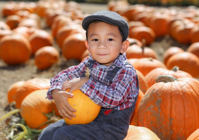 Save money with a coupon or discount ticket for Chowchilla’s Corn & Pumpkin Junction in Chowchilla, California