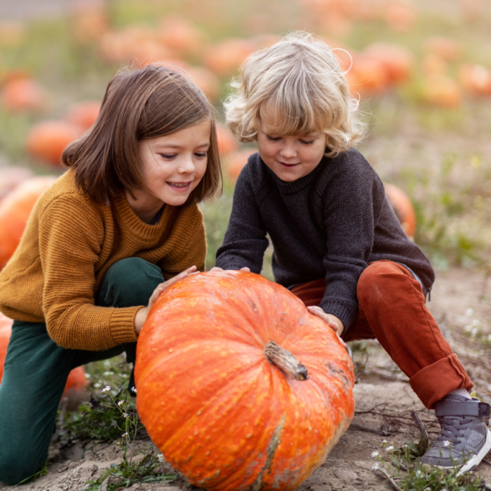 Save money with a coupon or promo code for Greg's U-Pick Pumpkin Patch in Clarence, NY
