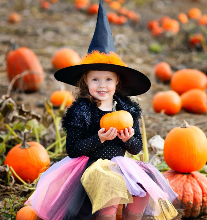 Oscar's Pumpkin Patch Costock Discount Ticket
