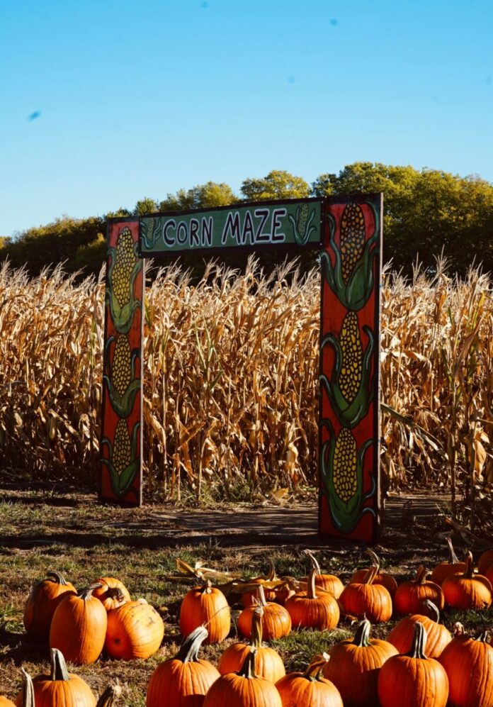 Best 25 corn mazes in the United States