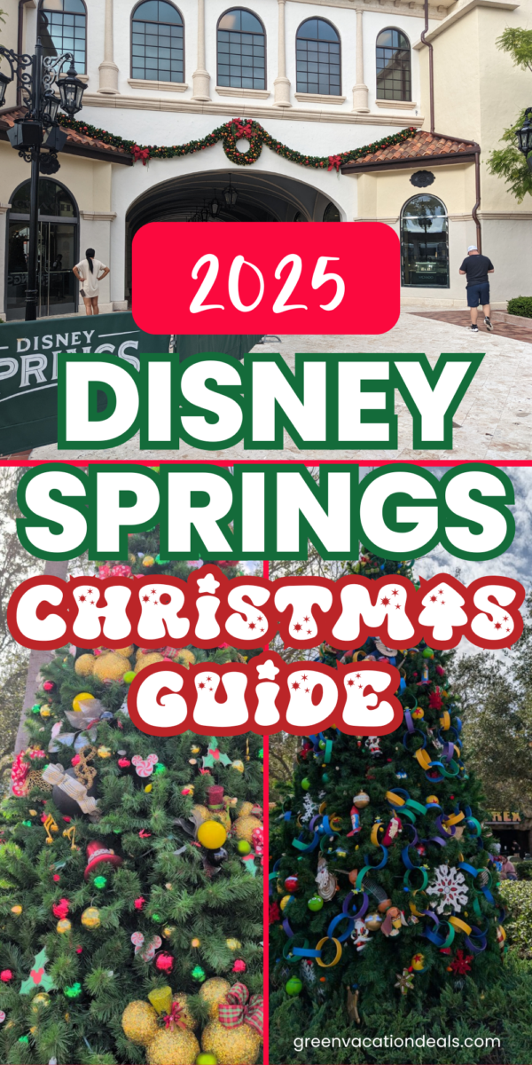 2025 Disney Springs Christmas Guide