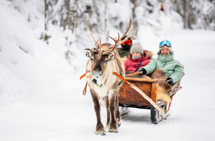 Lapland Finland Rovaniemi Reindeer Husky Safari Discount Discount code for a Lapland Reindeer and Husky Safari from Rovaniemi, Finland