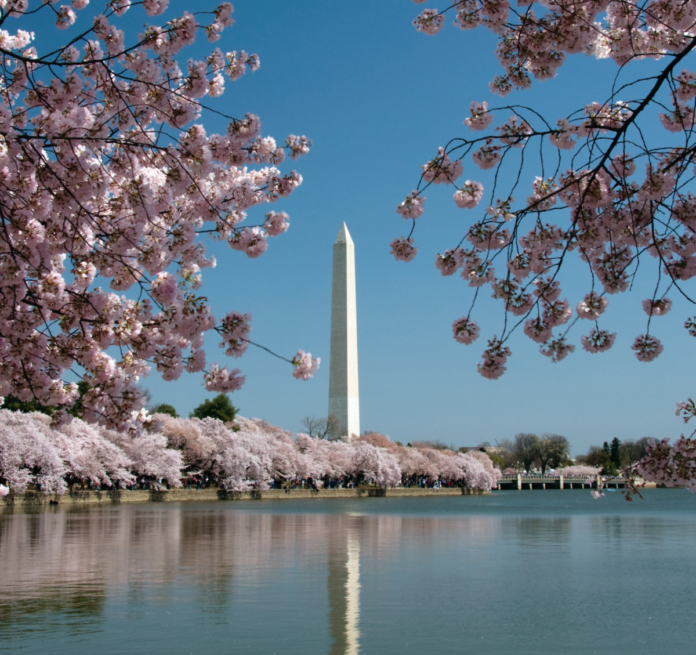 Save money with a coupon or promo code for the cherry blossom tour by golf cart in Washington, D.C.