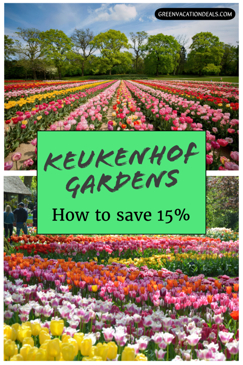 Keukenhof Gardens - How to save 15% on tickets