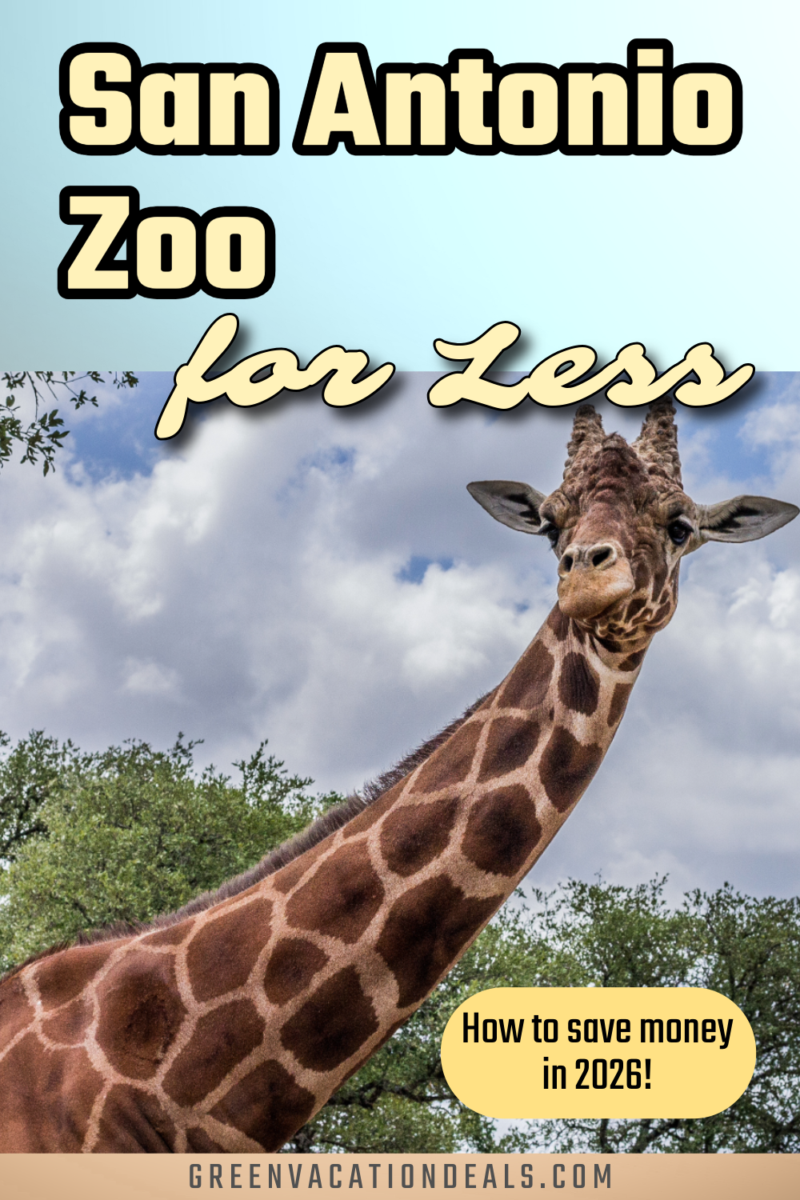 San Antonio Zoo for less - how to save money in 2026!