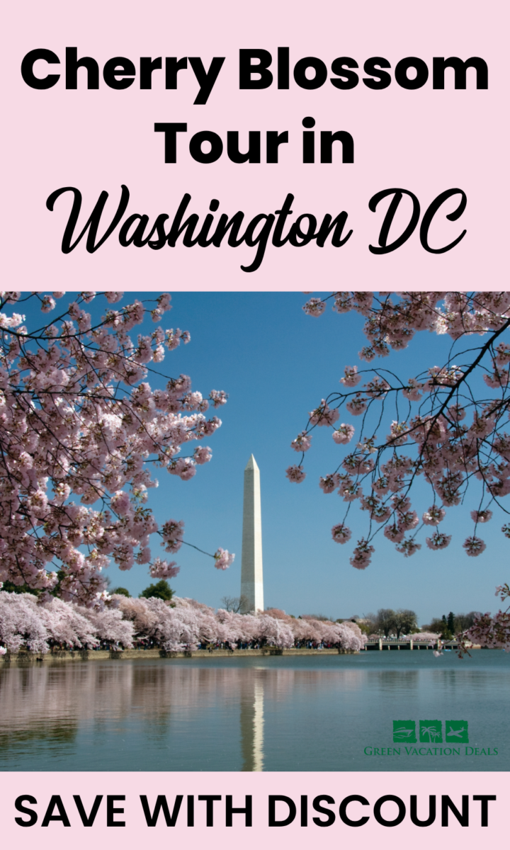 Cherry Blossom tour in Washington DC - save with discount