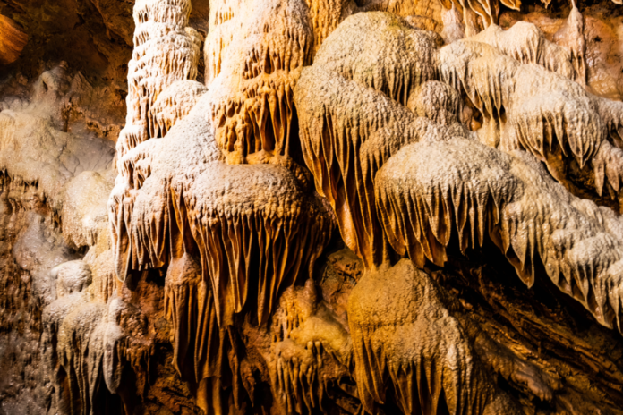 Shenandoah Caverns Coupon Shenandoah Caverns Coupon Code