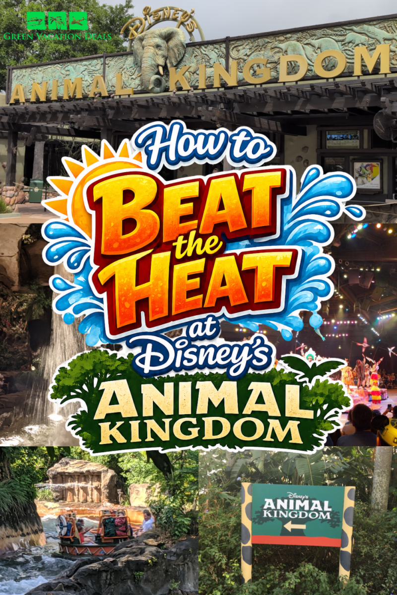 How to Beat the Heat at Disney's Animal Kingdom