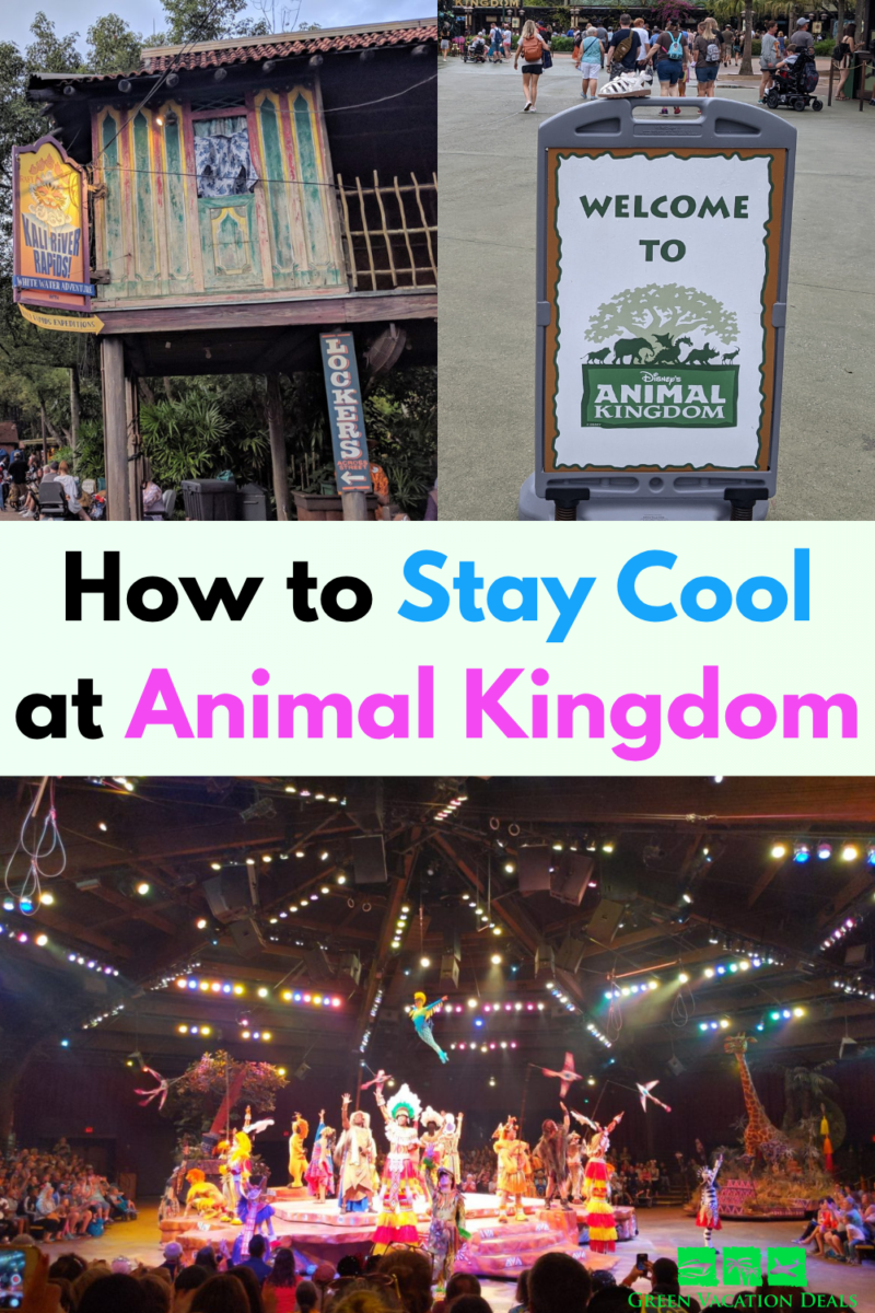 How to Stay Cool at Animal Kingdom