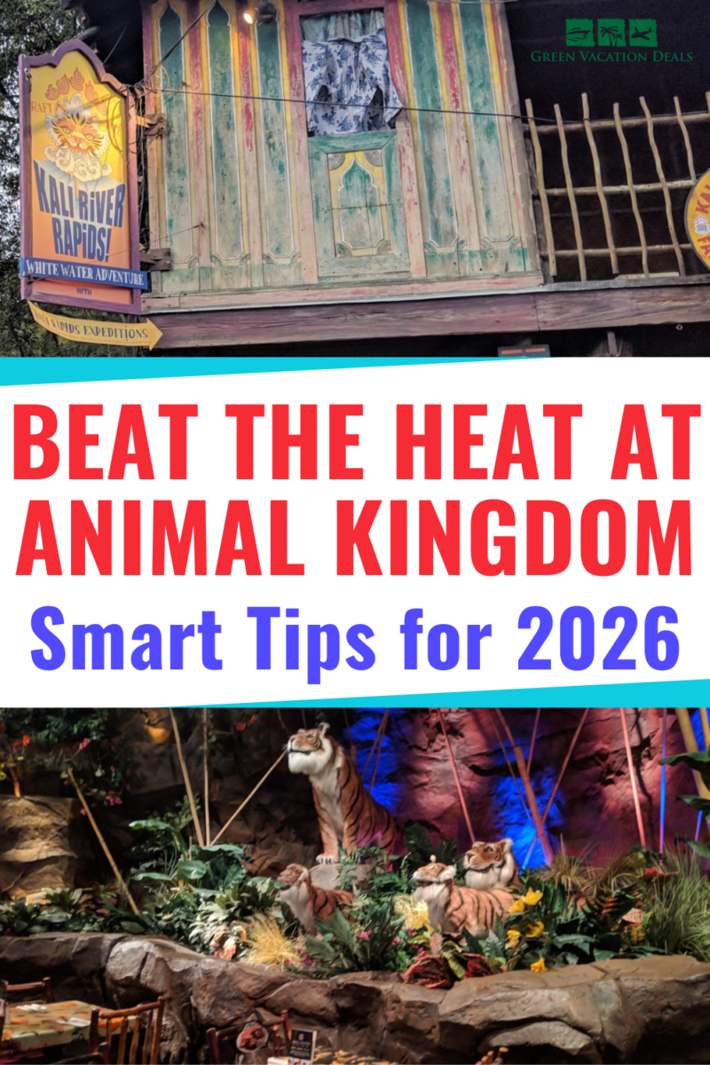 Beat the heat at Animal Kingdom - smart tips for 2026
