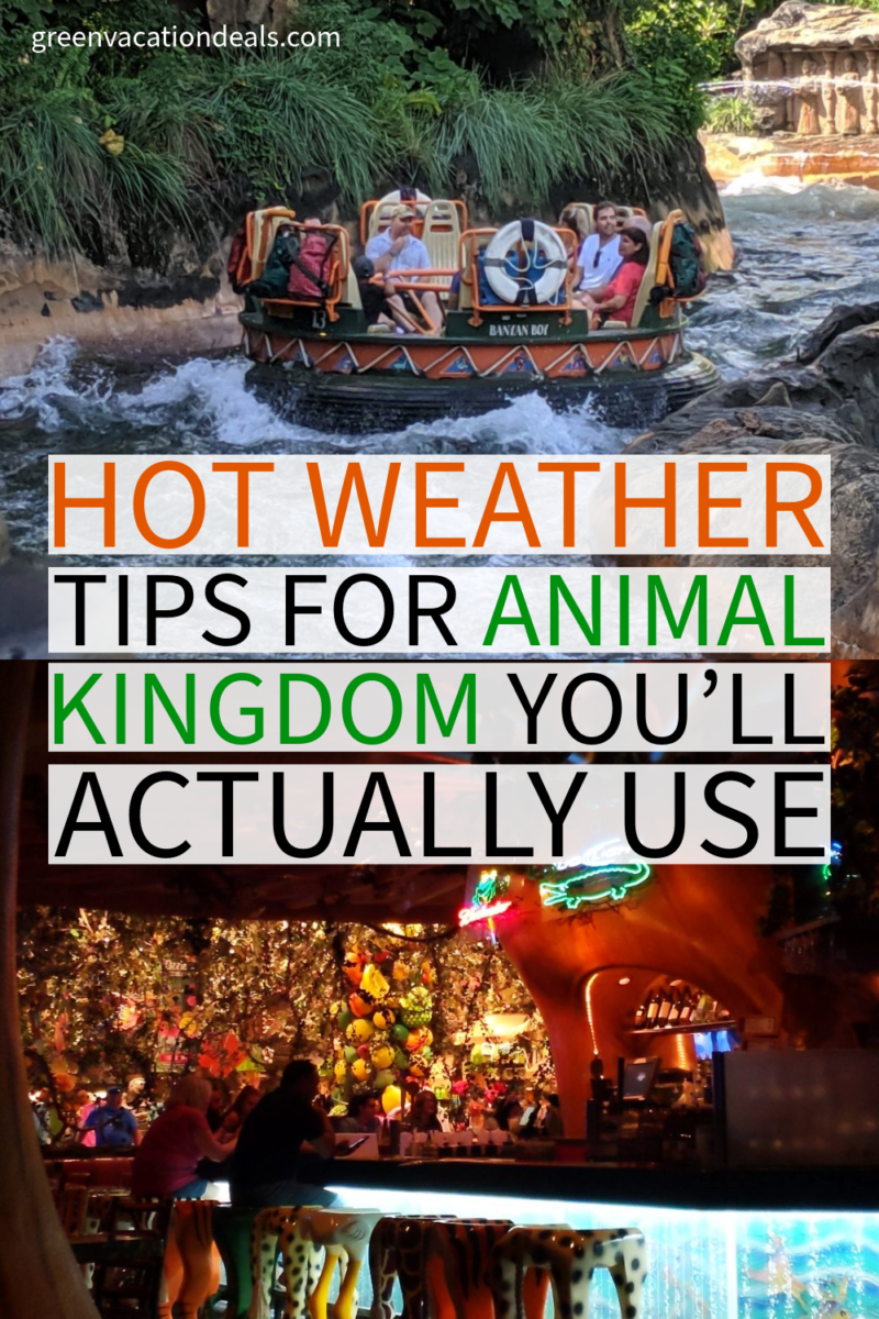Hot weather tips for Animal Kingdom you'll actually use