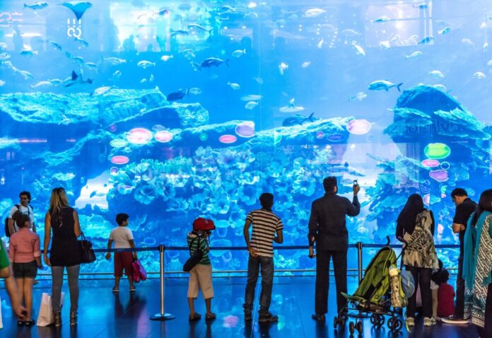 Dubai Aquarium Coupon