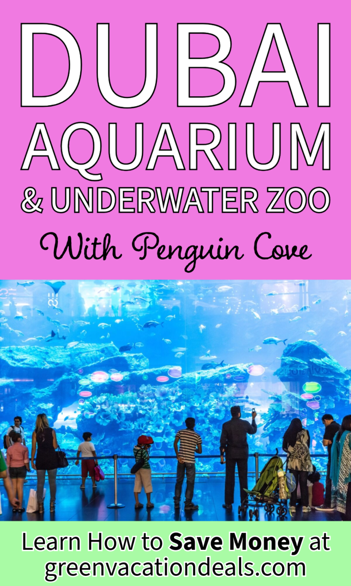 Dubai Aquarium & Underwater Zoo With Penguin Cove - Learn how to save money at Green Vacation Deals