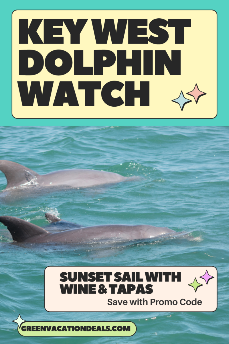Key West Dolphin Watch Sunset Sail with Wine & Tapas - save with promo code