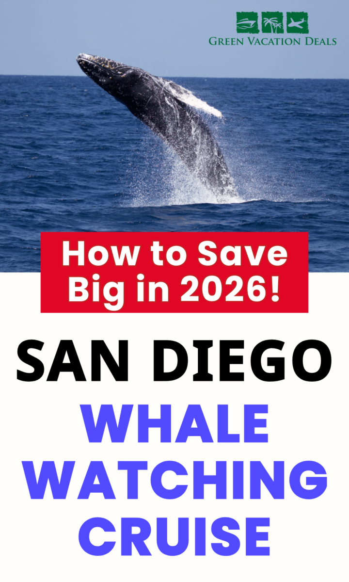 How to save big in 2026 on a San Diego whale watching cruise