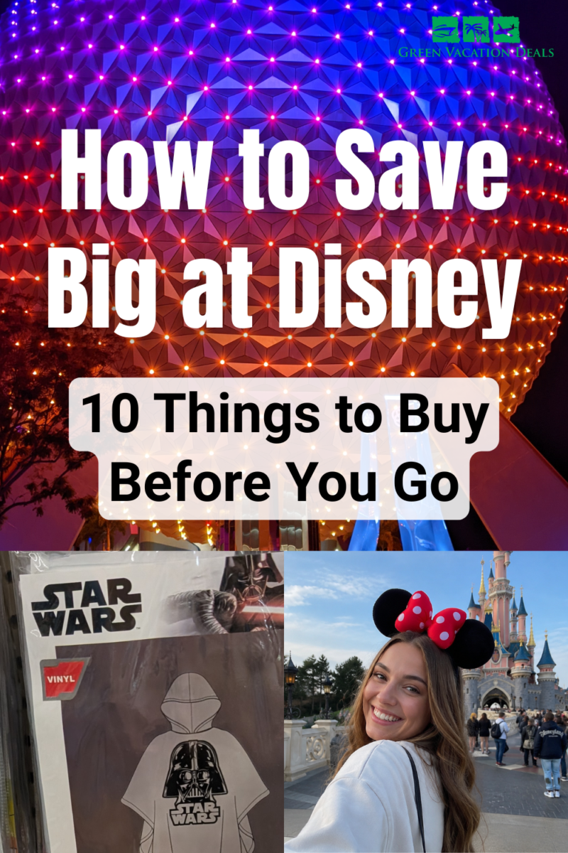 How to save big at Disney World - 10 things to buy before you go