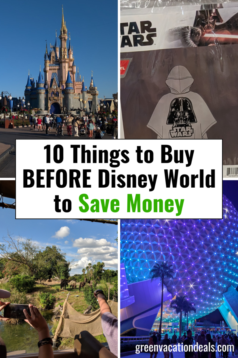10 things to buy before your Disney World trip to save money