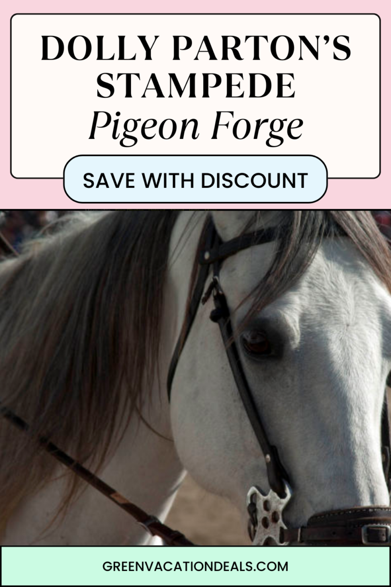 Dolly Parton’s Stampede in Pigeon Forge - how to save money with a promo code