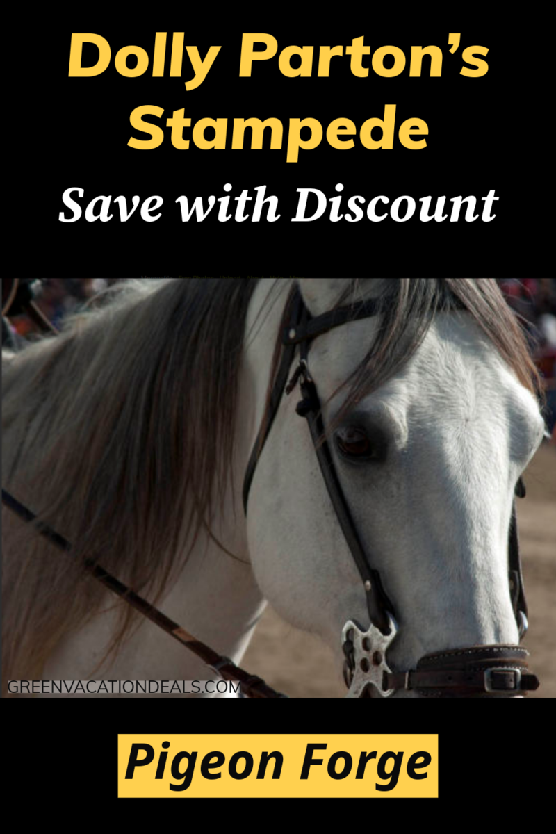 Dolly Parton’s Stampede - how to save with a discount in Pigeon Forge
