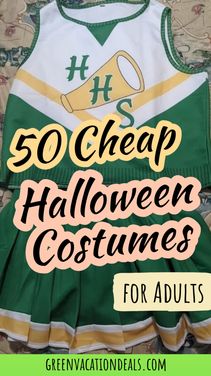 Best 50 cheap Halloween costumes for adults
