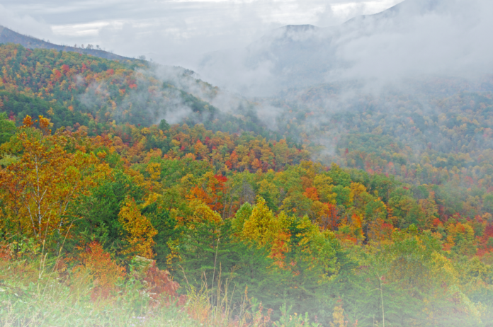 Smoky Mountains Fall Colors Tour from Pigeon Forge Promo Code